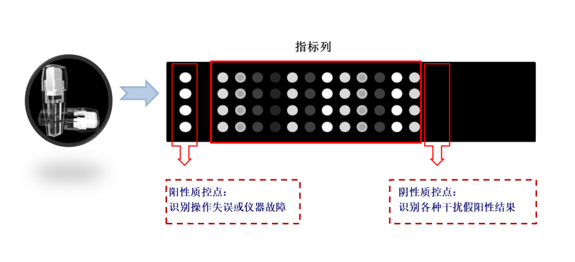 QQ图片20210820090041 QQ图片20210820090041