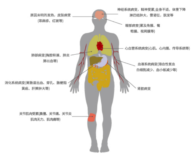 未标题-1 未标题-1